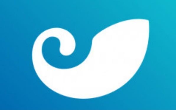 imToken钱包只能收主流币吗
